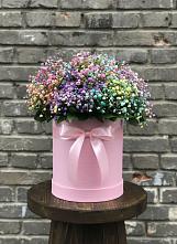 Цветочная композиция из Гипсофила и Розы в шляпной коробке в Мамадыш