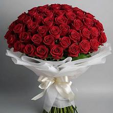 Букет 101 Красная роза Блэк Мэджик в Мамадыш