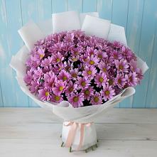 Букет цветов из:  Хризантемы #REPLACE_PRED# Мамадыш