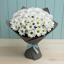 Букет цветов из:  Хризантемы #REPLACE_PRED# Мамадыш