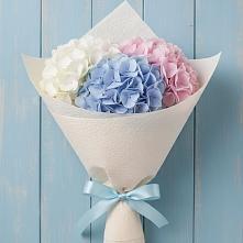 Букет цветов из:  Гортензия в Мамадыш