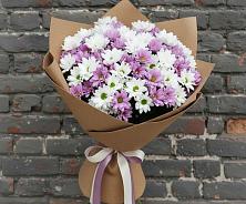 Букет цветов из:  Хризантемы в Мамадыш