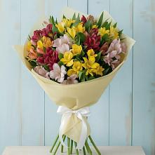 Букет цветов из:  Альстромерии в Мамадыш
