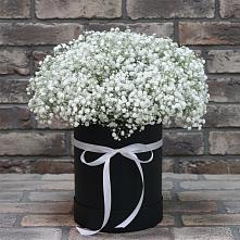 Цветочная композиция из Гипсофила в шляпной коробке в Мамадыш