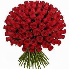 Букет Красные розы Чери Лав #REPLACE_PRED# Мамадыш