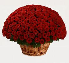 Премиум букет из: Розы в Мамадыш