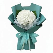 Букет цветов из:  Гортензия в Мамадыш